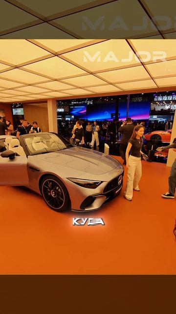 МЕЧТА ЛЮБОГО ОЛИГАРХА