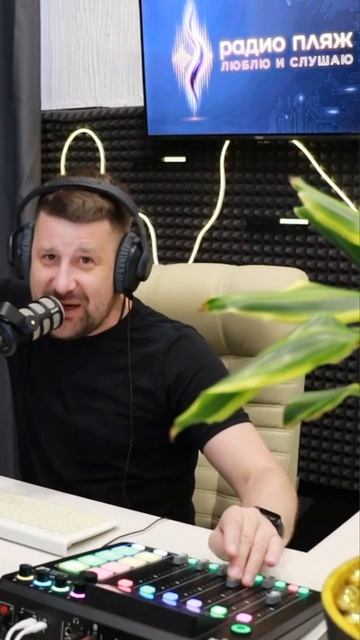 Сиамский кот - Сиамский кот