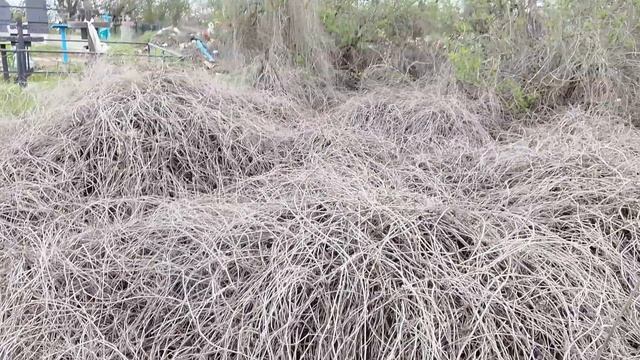 Красная горка/походили по родным местам/Воспоминание/Побывали на могилках родных :( :)