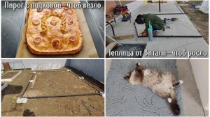Пирог с подковой - чтоб везло. Теплица от Витали - чтоб росло 😊🌱