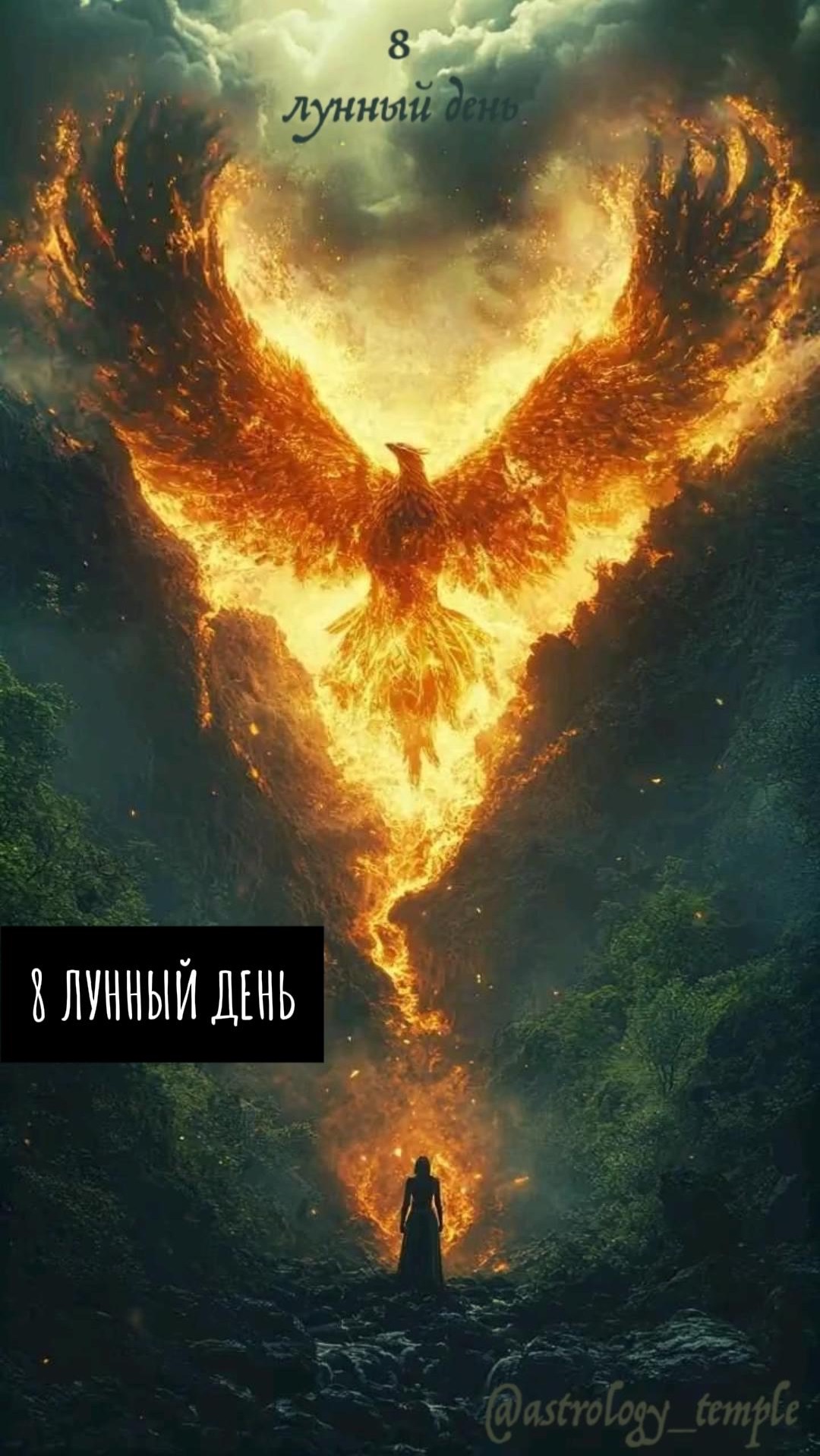 📅 Суббота 25.04.2026 🌛 8 Лунный день 🌓 Растущая Луна во Льве (для Львов знаковый период) 🪄