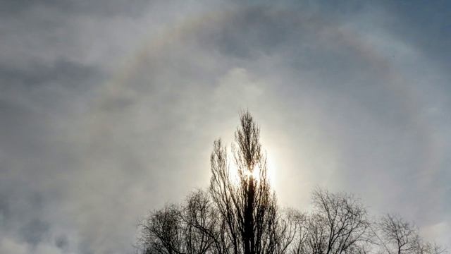 + 20 в Кемерово