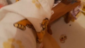 VLOG МИЛКИ МИЛКА ГУЛЯЕТ С УТЕЙ💓[Баська🍉🐻]