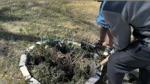 25.04.2026 Всероссийский субботник