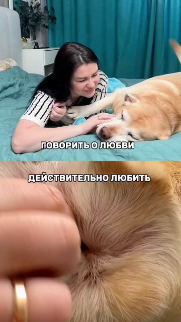 Мы используем только эти капли #WW289329 они безопасные, эффективные и быстро избавляют от паразитов