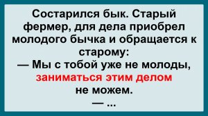 Старый фермер и бык! Пикантные, Смешные, Остренькие, Жизненные Анекдоты! Юмор! Смех! Позитив!