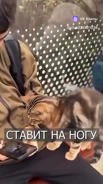 поставь лайк и подпишись