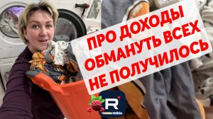 Деревенский дневник _Про доходы _Обмануть всех не получилось _Обзор _Леля Побируха _Ольга Быкова