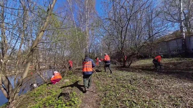В округе Пушкинский прошёл общеобластной субботник