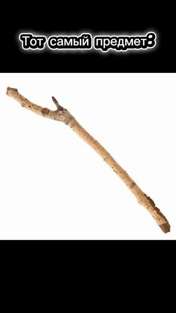 Коты-воители мем