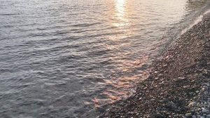 Сочинский сон (Андрей Донецкий)