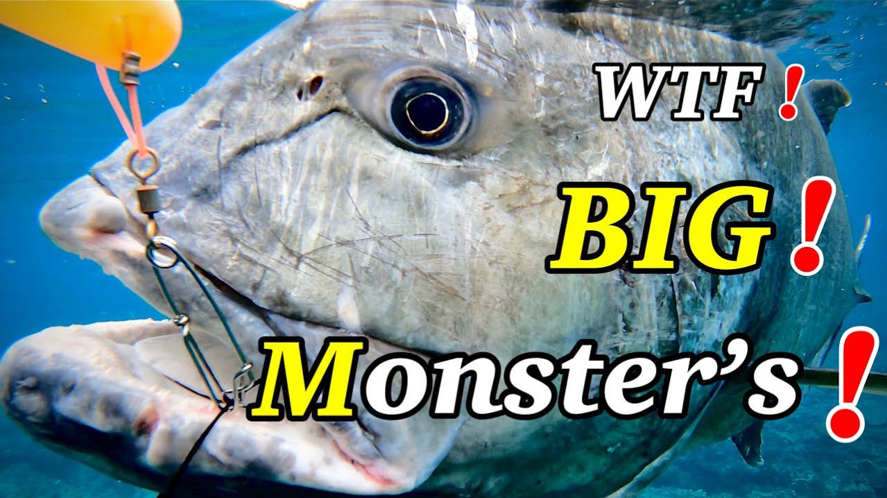 Подводная охота / Семь гигантских каранксов