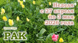РАК | ТАРО прогноз на неделю с 27 апреля по 3 мая 2026 года