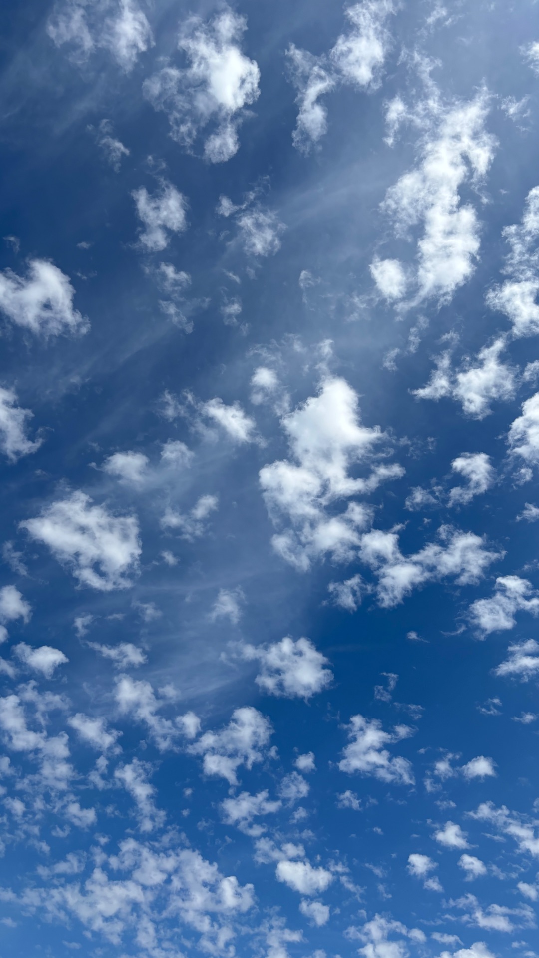 Я могла бы…