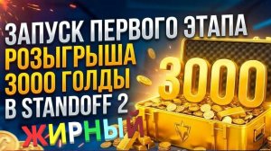 ПЕРВЫЙ ЭТАП РОЗЫГРЫША НА 3000 ГОЛДЫ!!!