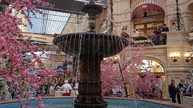 VID_20260425_161539.mp4