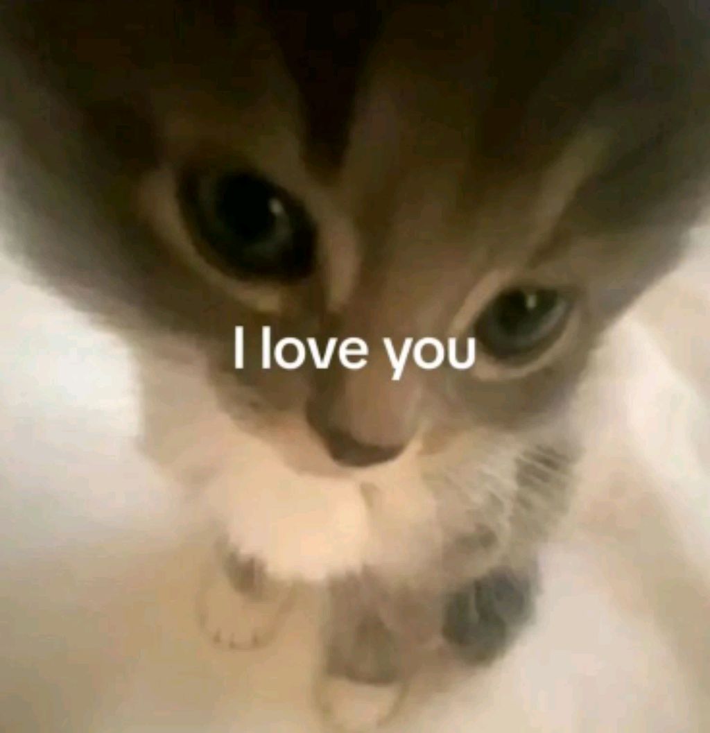 мы дома с Алёной на ночёвке