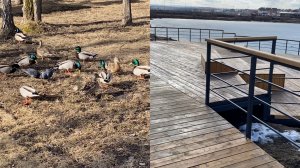 Не всегда своё добро доносят😒 Пятерочка🛒