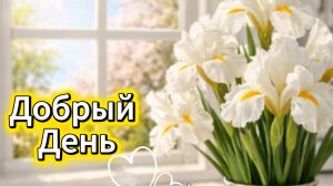 Добрый день! Открытки и пожелания с добрым днём | Домохозяйка