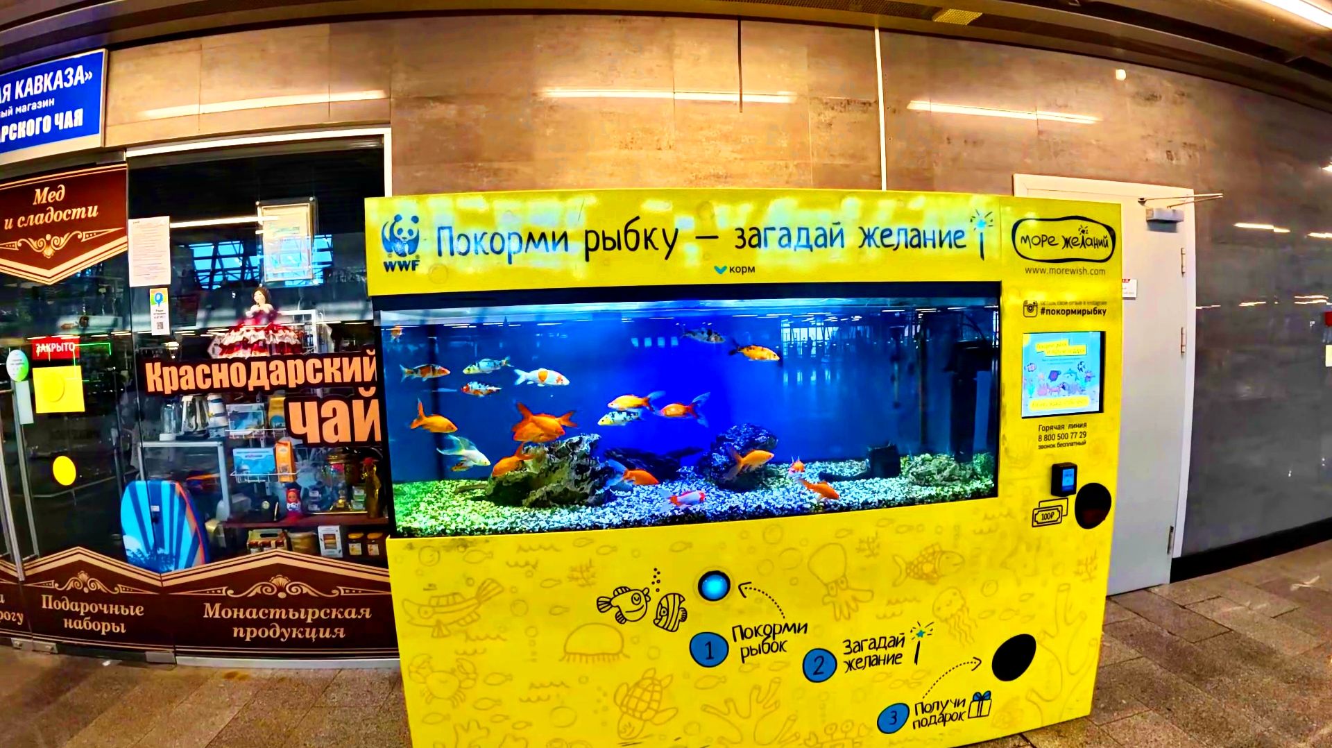 ЖДЁМ «ЛАСТОЧКУ». ЖД ВОКЗАЛ АДЛЕР. ПРИВОКЗАЛЬНАЯ ПЛОЩАДЬ. 25 НОЯБРЯ 2025 ГОДА.