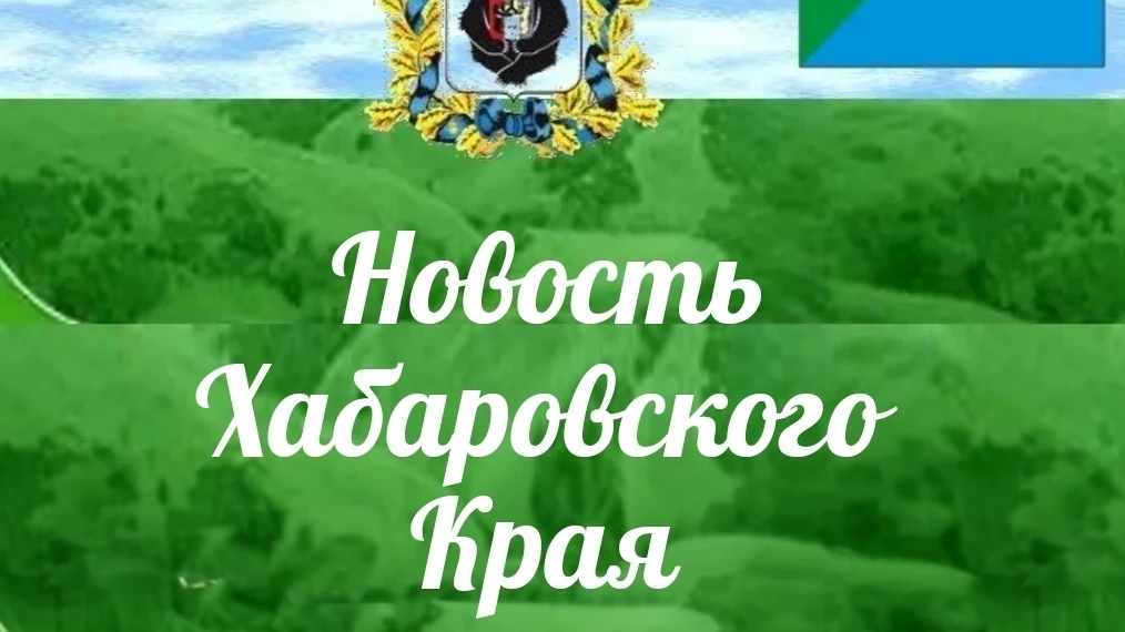 ⚡️С 1 мая запускают дачные маршруты по 12 направлениям в Хабаровском крае