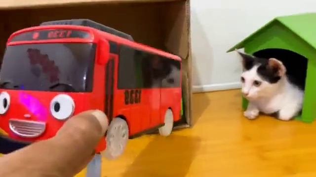 Мнашики мультики детям. Кошка и машинки