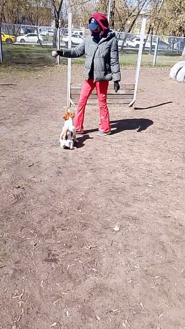 Сегодня Барри и Макс 25.04.2026.