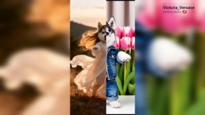 Доброе утро позитива ❤️👍