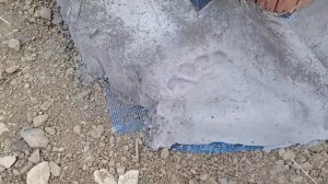 Фишечка - стопа великана на спа-салоне