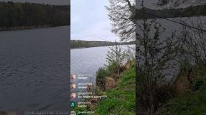 рыбалка утром первый судачек 24-04-2026