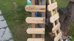 Пересадила хосту, без ругани никак.