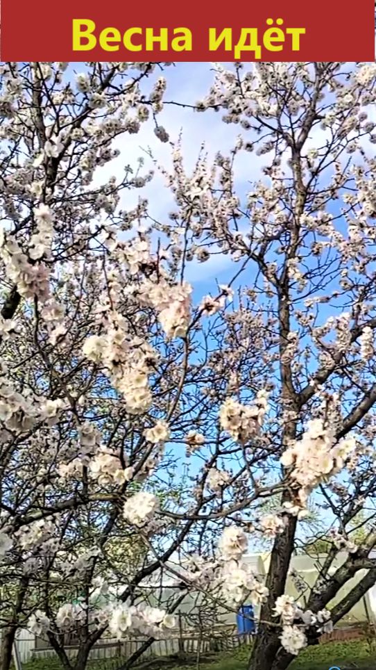 Весна идёт