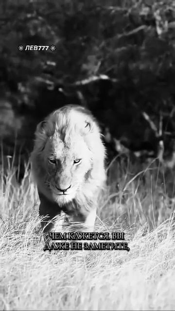 MOV_20260424_092343_064.mp4