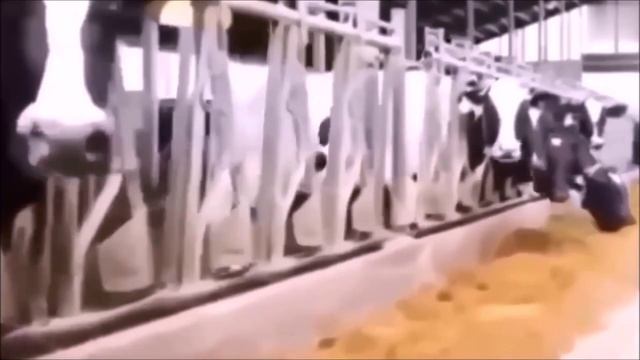 Как_ГЛОБАЛИСТЫ_УПРАВЛЯЮТ_нашим_СОЗНАНИЕМ_полное_РАЗОБЛАЧЕНИЕ