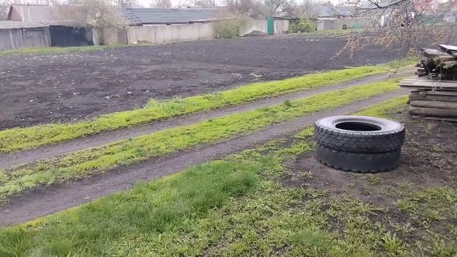 24.04.2026 Опять непогода. Дождь