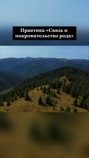 Вы поедете быть взрослым 🔽