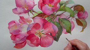 АКВАРЕЛЬНАЯ РОЗОВАЯ ЯБЛОНЯ В ЦВЕТУ  🌸  Мастер-класс по рисованию весенних цветов