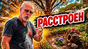 ФАЛЬКОНЕ- Я случайно наступила…