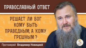 Решает ли Бог кому быть праведным, а кому грешным ? Протоиерей Владимир Новицкий
