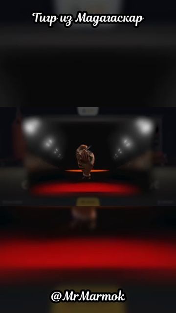 Тигр из Мадагаскар @MrMarmok  #shorts #partyanimals