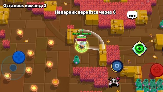 челенж в шд