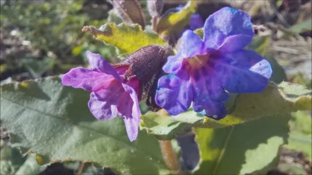 Месяц начался.