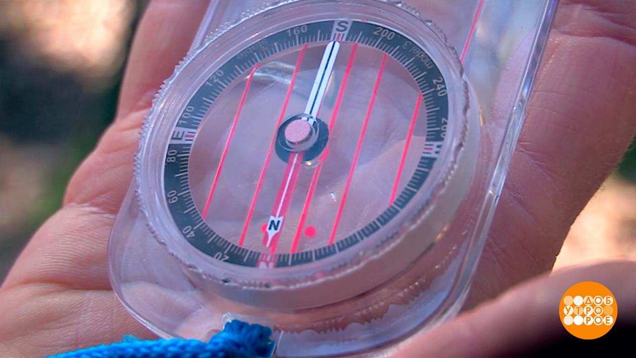 Идете в лес? Не забудьте компас! Доброе утро. Суббота. Фрагмент выпуска от 25.04.2026