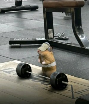 мы на батуте