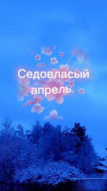 Седовласый апрель.