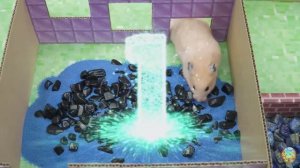 Большое приключение маленького хомячка прохождение лабиринта веселья! серия 6