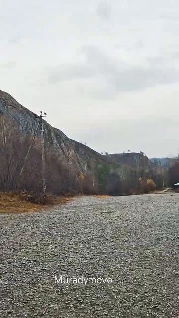 Прозрачная река. Прозрачный воздух. Прозрачная осень. 🧊