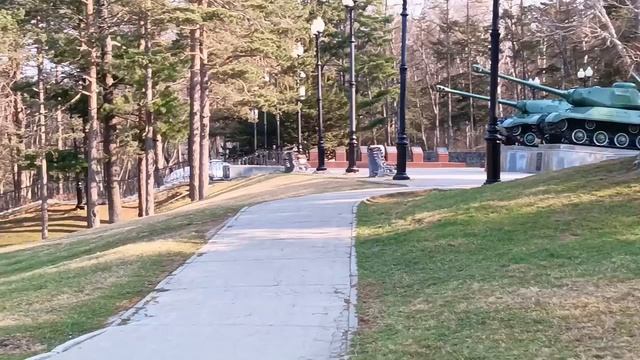 Вид из окна поезда. Майский парк и шустрая белка. Южно-Сахалинск, май 2024 года