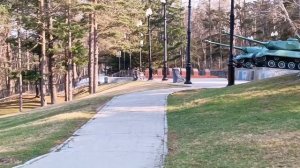 Вид из окна поезда. Майский парк и шустрая белка. Южно-Сахалинск, май 2024 года