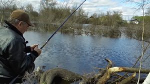 Удачным ли оказалось открытие сезона ловли карася в этом году